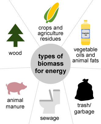 biomass fuel examples