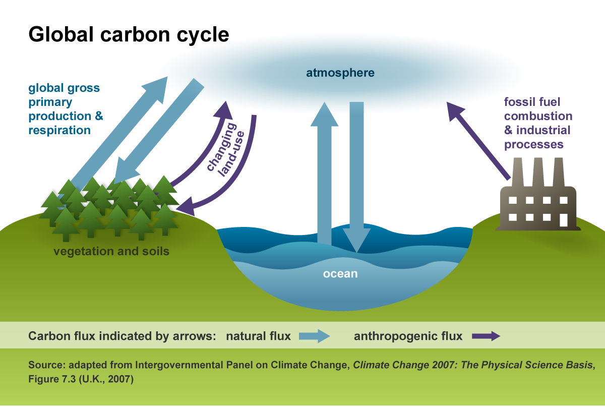 Arriba 85+ imagen how do fossil fuels affect the environment