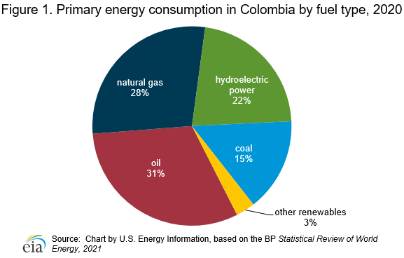 Distribution of energy sources in the total energy mix in Brazil [36].