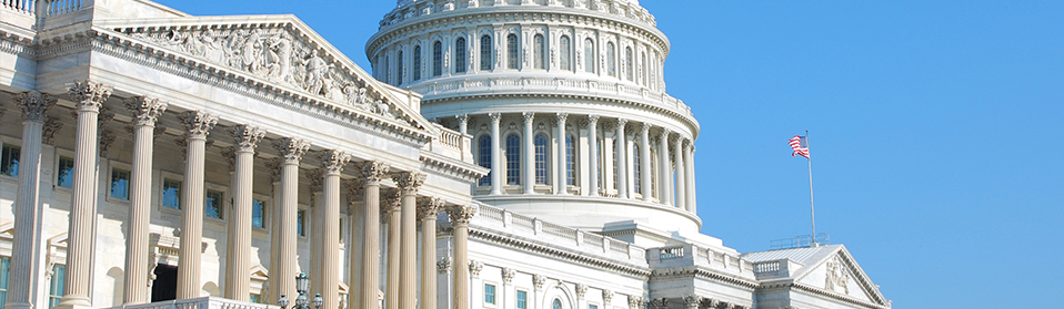 This is a picture of the US Capitol building